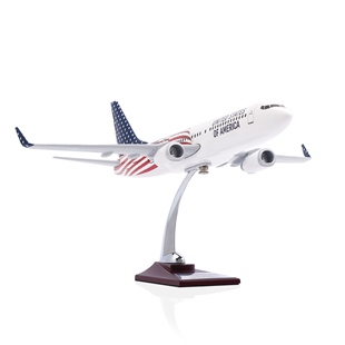 Zekupp - Maket Uçak - Boeing 737-800 1/100 - ABD ÖZEL TASARIM Model Uçak