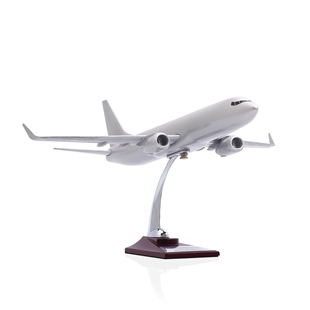 Zekupp - Maket Uçak - Boeing 737-800 1/100 - GÜMÜŞ RENK ÖZEL TASARIM Model Uçak