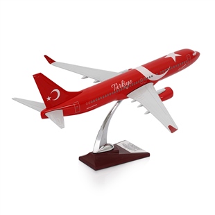 Zekupp - Maket Uçak - Boeing 737-800 1/100 - TÜRKİYE ÖZEL TASARIMLI Model Uçak, Model E
