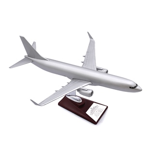 Zekupp - Maket Uçak - Boeing 737-800 1/100 - GÜMÜŞ RENK ÖZEL TASARIM Model Uçak