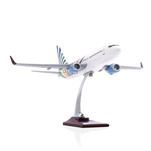 Zekupp - Maket Uçak - Boeing 737-800 1/100 - RENKLİ ÖZEL TASARIM Model Uçak