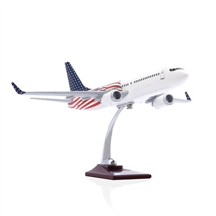 Zekupp - Maket Uçak - Boeing 737-800 1/100 - ABD ÖZEL TASARIM Model Uçak