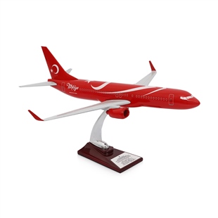 Zekupp - Maket Uçak - Boeing 737-800 1/100 - TÜRKİYE ÖZEL TASARIMLI  Model Uçak, Model C