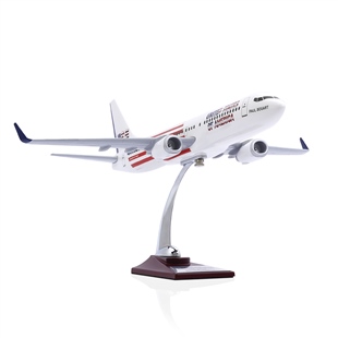 Zekupp - Maket Uçak - Boeing 737-800 1/100 - ABD ÖZEL TASARIM Model Uçak