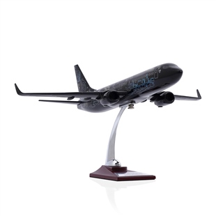 Zekupp - Maket Uçak - Boeing 737-800 1/100 - SİYAH DESENLİ ÖZEL TASARIM Model Uçak