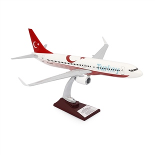 Zekupp - Maket Uçak - Boeing 737-800 1/100 - TÜRKİYE ÖZEL TASARIMLI Model Uçak,  Model D