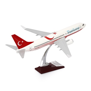 Zekupp - Maket Uçak - Boeing 737-800 1/100 - TÜRKİYE ÖZEL TASARIMLI Model Uçak,  Model D