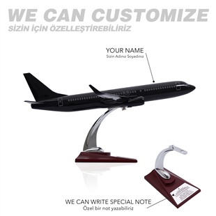 Zekupp - Maket Uçak - Boeing 737-800 1/100 - SİYAH ÖZEL TASARIM Model Uçak