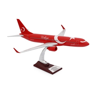 Zekupp - Maket Uçak - Boeing 737-800 1/100 - TÜRKİYE ÖZEL TASARIMLI Model Uçak, Model E