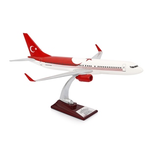 ZekUpp - Maket Uçak - Boeing 737-800 1/100 - TÜRKİYE Özel Tasarımlı Model Uçak