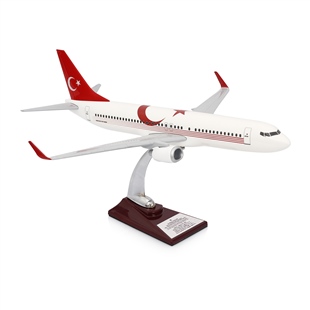 Zekupp - Maket Uçak - Boeing 737-800 1/100 - TÜRKİYE ÖZEL TASARIMLI Model Uçak, Model B