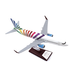 Zekupp - Maket Uçak - Boeing 737-800 1/100 - RENKLİ ÖZEL TASARIM Model Uçak