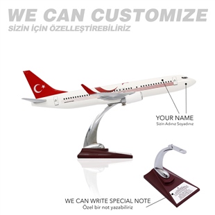 Zekupp - Maket Uçak - Boeing 737-800 1/100 - TÜRKİYE ÖZEL TASARIMLI Model Uçak, Model B