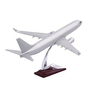 Zekupp - Maket Uçak - Boeing 737-800 1/100 - GÜMÜŞ RENK ÖZEL TASARIM Model Uçak