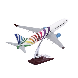Zekupp - Maket Uçak - Boeing 737-800 1/100 - RENKLİ ÖZEL TASARIM Model Uçak