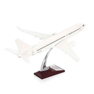 Zekupp - Maket Uçak - Boeing 737-800 1/100 - BEYAZ ÖZEL TASARIM Model Uçak