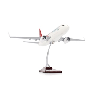 ZekUpp - Maket Uçak - Boeing 737-800 1/100 - TÜRKİYE Özel Tasarımlı Model Uçak