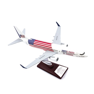 Zekupp - Maket Uçak - Boeing 737-800 1/100 - ABD ÖZEL TASARIM Model Uçak