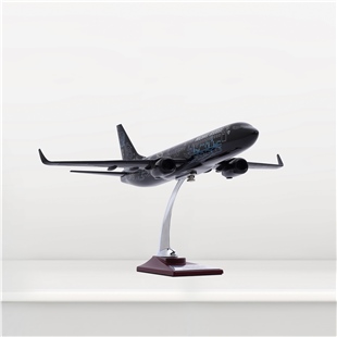 Zekupp - Maket Uçak - Boeing 737-800 1/100 - SİYAH DESENLİ ÖZEL TASARIM Model Uçak
