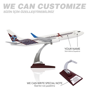 ZekUpp - Maket Uçak - Boeing 737-800 1/100 - BORDO MAVİ TARAFTAR Özel Tasarım Model Uçak