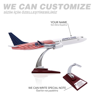 Zekupp - Maket Uçak - Boeing 737-800 1/100 - ABD ÖZEL TASARIM Model Uçak