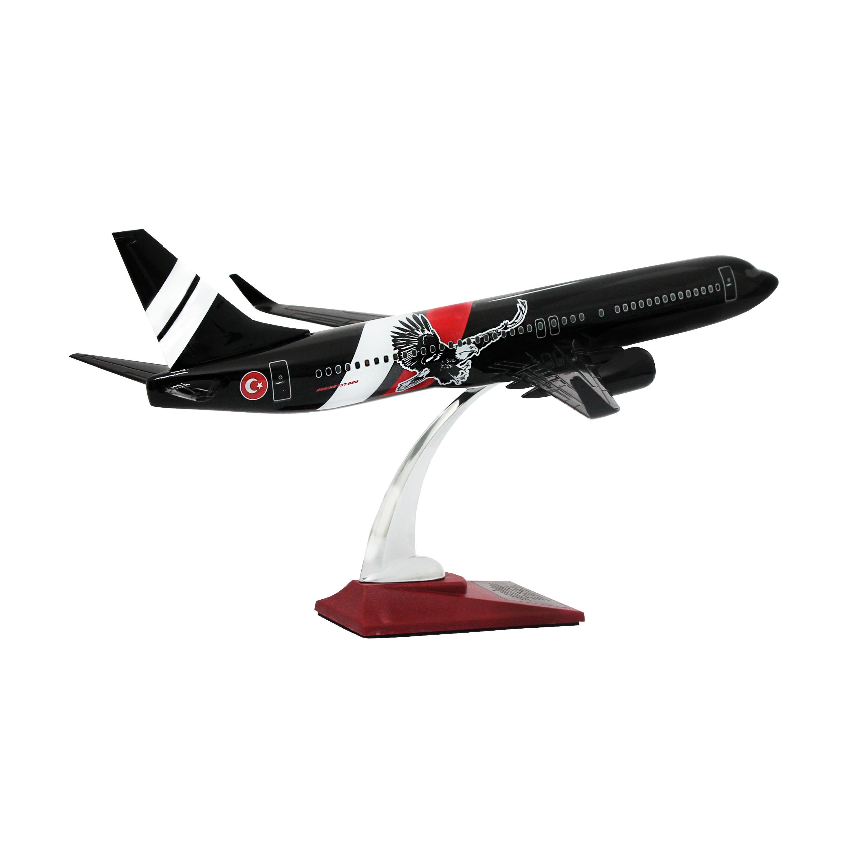 UCK0155Zekupp Boeing 737-800 1/100 Ölçek Siyah  Kartal Tasarımlı Maket Uçak