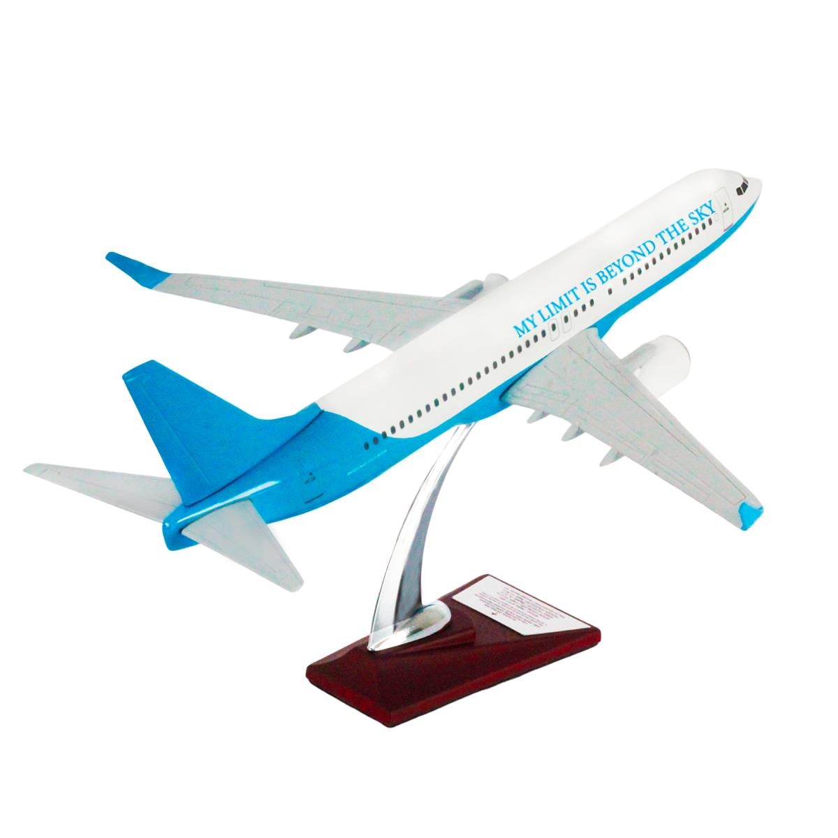 UCK0158Zekupp Boeing 737-800 1/100 Ölçek My Limit Is Beyond The Sky Tasarım Maket Uçak