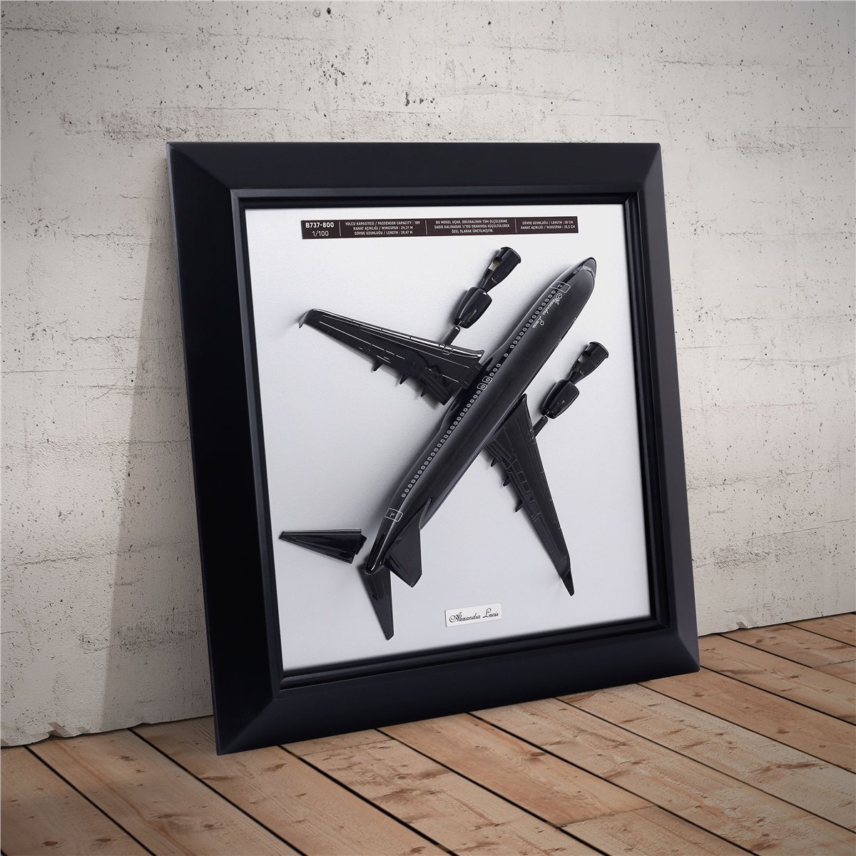 Zekupp Boeing 737 Model Uçak Tablo, Ahşap Duvar Dekorasyonu, 1/100 Ölçekli 3 Boyutlu Uçak Tablo, Özel Renk Seçenekli Özel El Yapımı Hediye