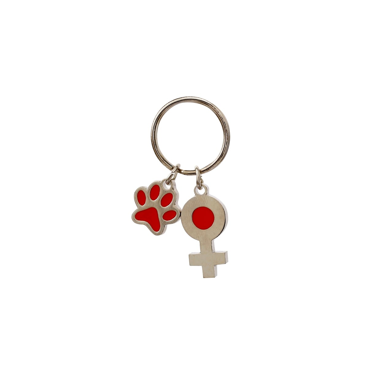 Zekupp Kedi Köpek Künye Tasma Aksesuarı DİŞİ M8