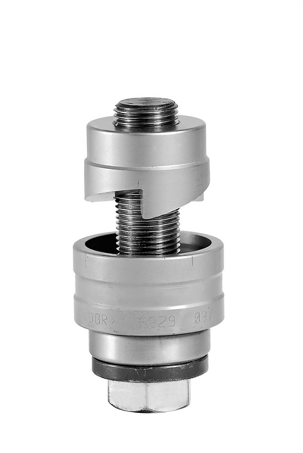 DAIRESEL PANÇ PG 29