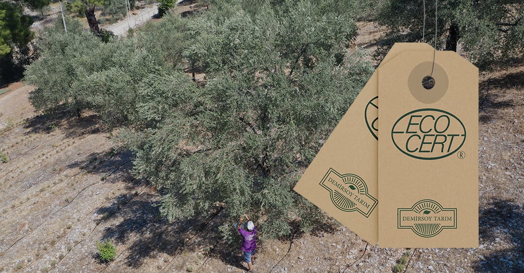 Ecocert Sertifikalı Türk Markalar