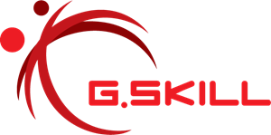  Gskill