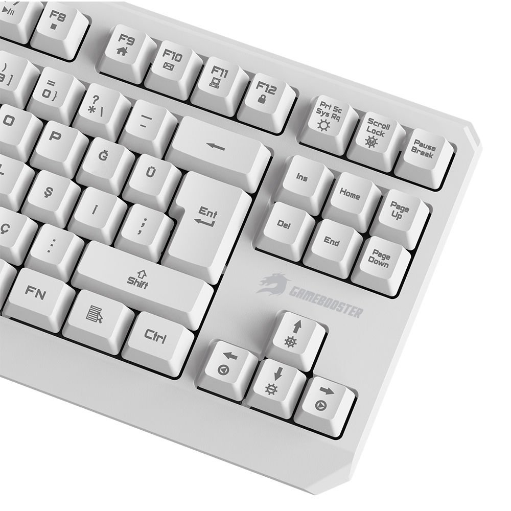 GAMEBOOSTER G75 ELYA Rainbow Aydınlatmalı Beyaz TKL Membrane Oyun Klavyesi
