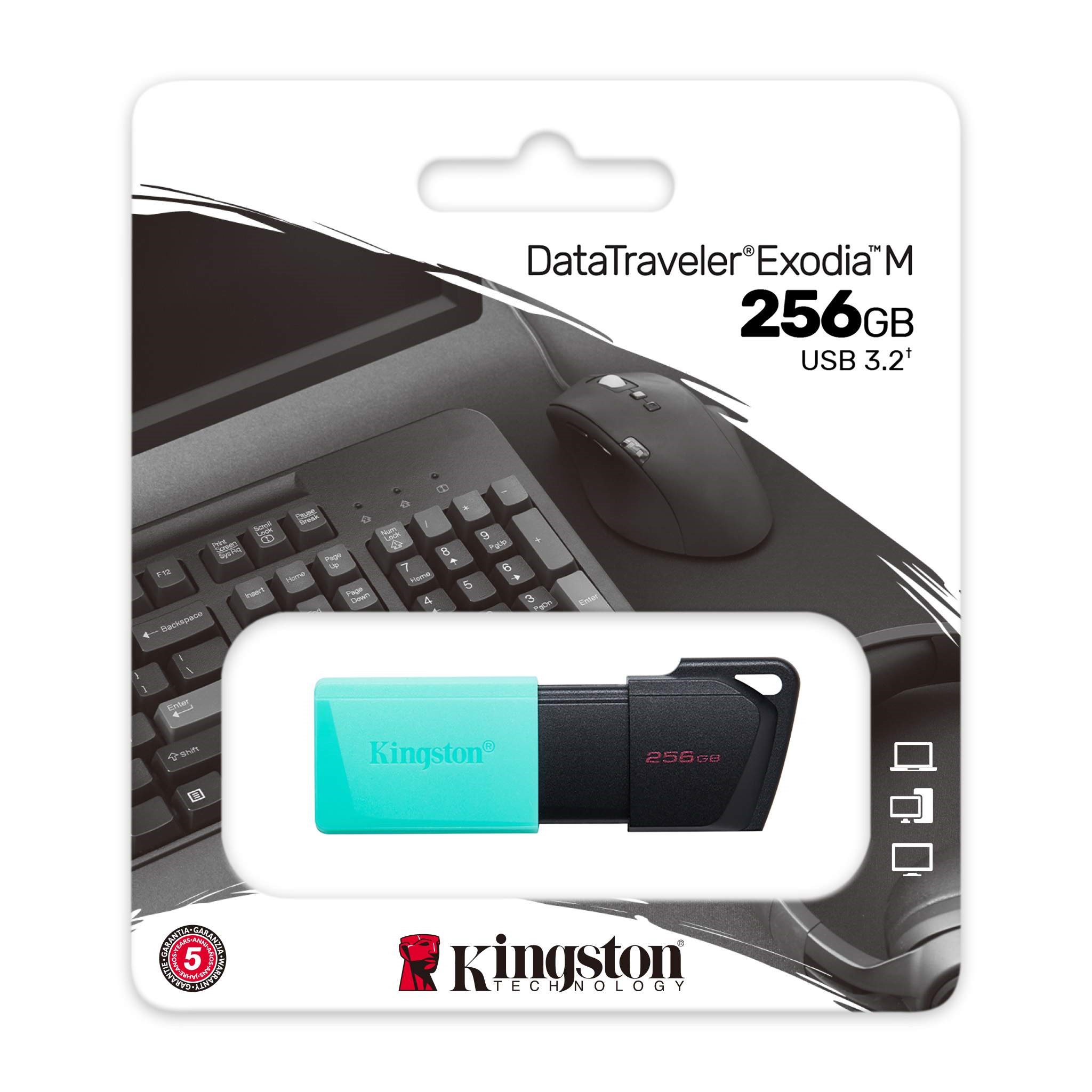 KINGSTON 256gb USB 3.2 Usb Bellek Exodia DTXM/256GB