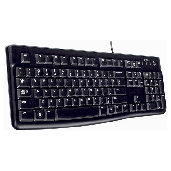 LOGITECH K120 Kablolu USB Q Trk Siyah Klavye (920-002505)