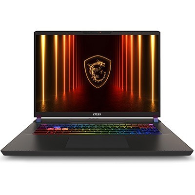 MSI 17