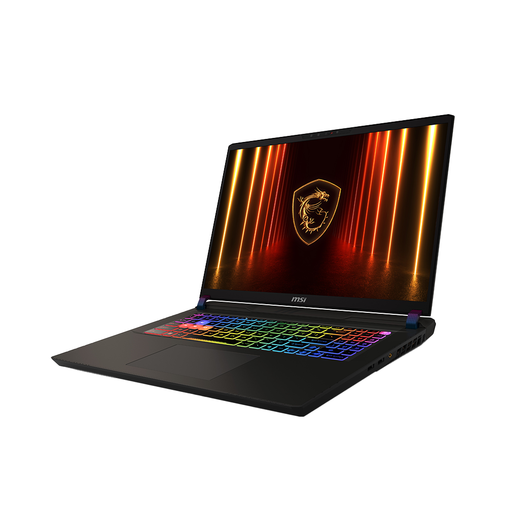 MSI 17
