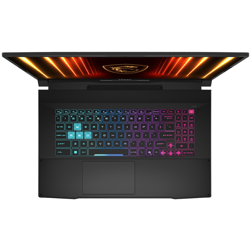 MSI 17.3