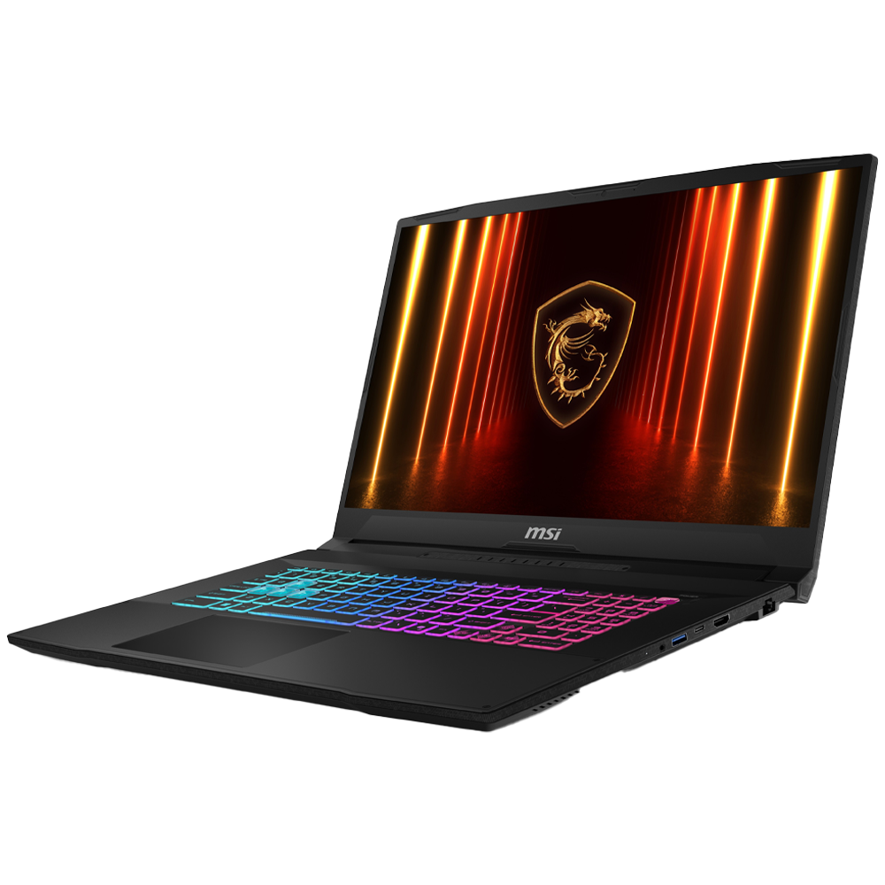 MSI 17.3
