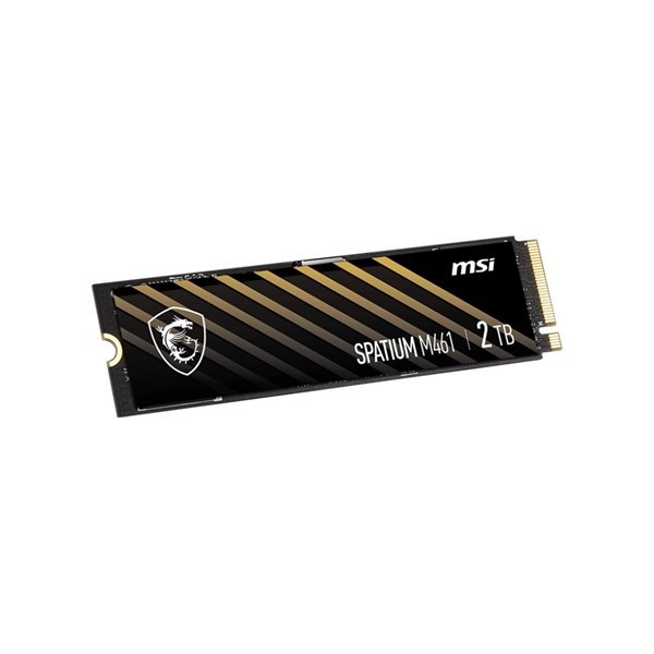MSI 2TB SPATIUM M461 5000- 3200MB/s M2 NVME GEN4 DİSK