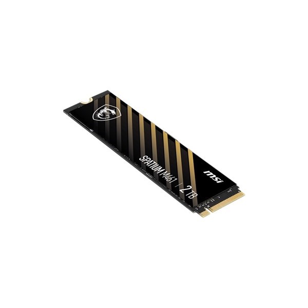 MSI 2TB SPATIUM M461 5000- 3200MB/s M2 NVME GEN4 DİSK