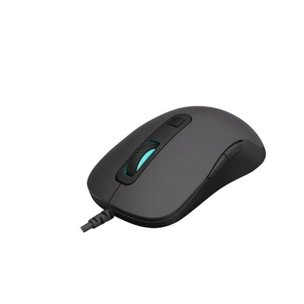 RAPOO V16RGB Kablolu USB RGB 12800dpi Siyah Mouse (11928)