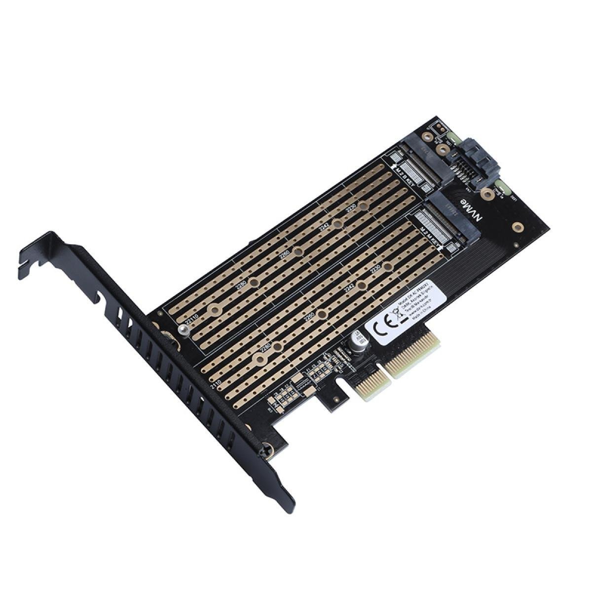 Dark SATA + NVMe M.2 SSD PCI-E Kartı DK-AC-PEM2X2