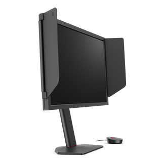 BENQ 24.1