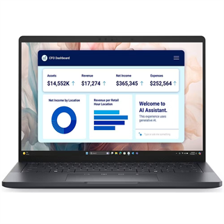 DELL 13.3