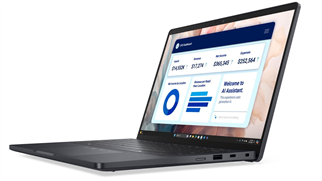 DELL 13.3