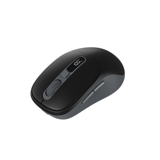 FRISBY FM-296WM Kablosuz Optik Mouse