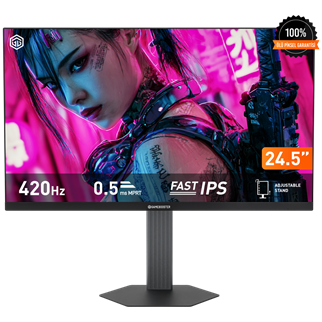 GAMEBOOSTER 24.5