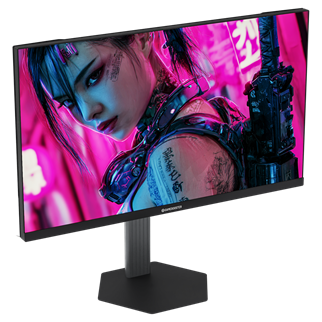 GAMEBOOSTER 24.5
