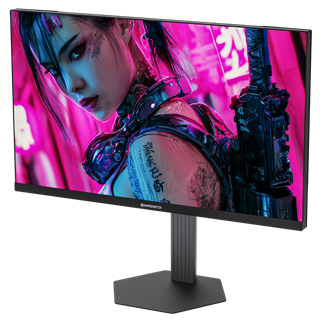 GAMEBOOSTER 24.5